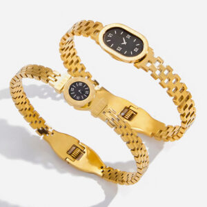 Titanium Steel Watch Chain Luxury Bangle