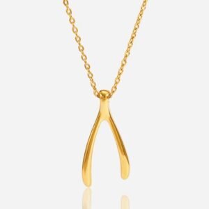 Jewelry Gift for Women Wishbone Sparkly Pendant Necklace